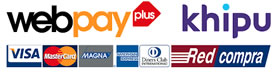 Pago electrónico online