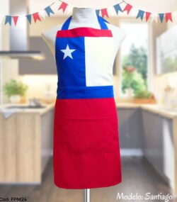 Delantal fiestas patrias - Imagen 3